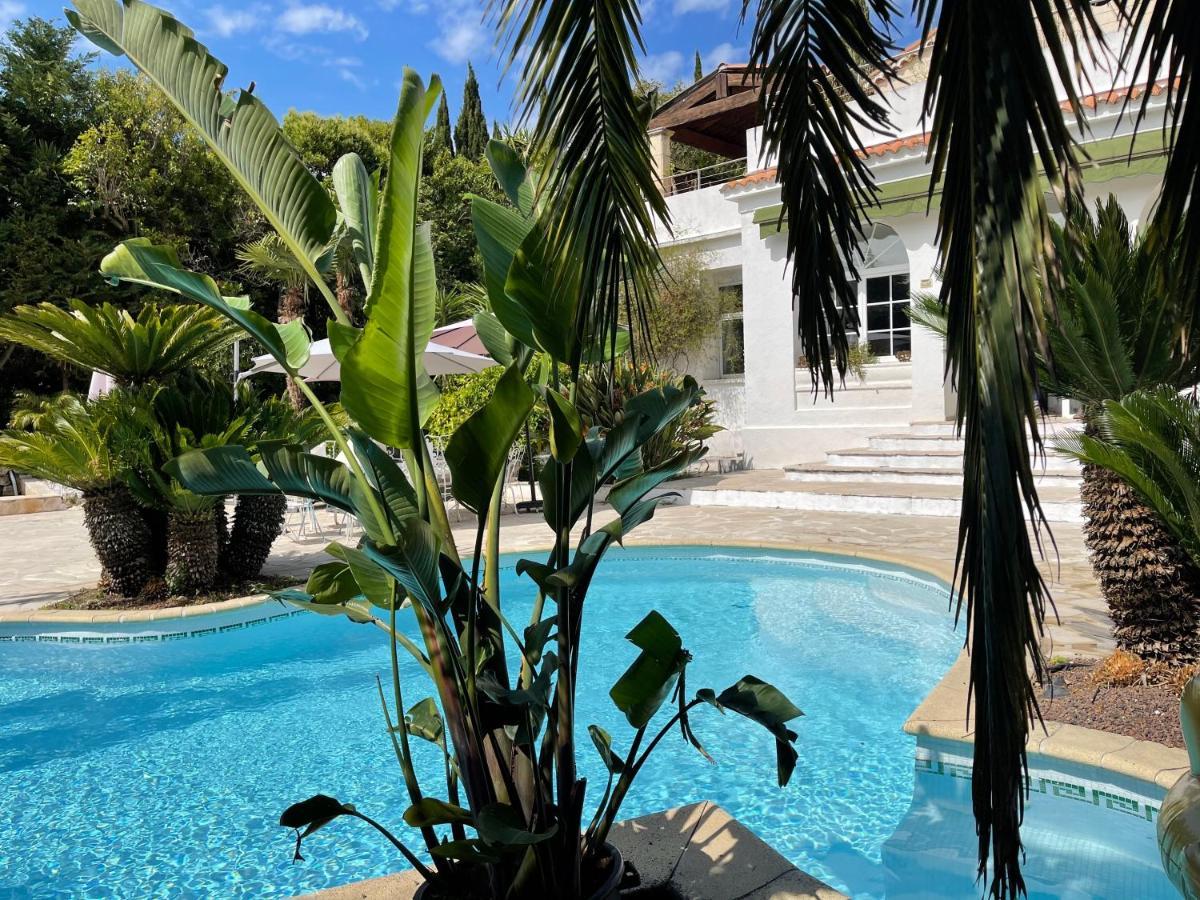 Piscine Proche Centre Villa Cannes