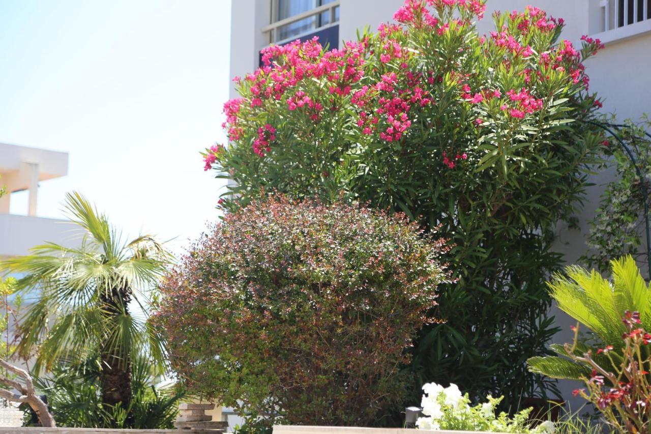 Rooftop Croisette/alexandre Iii Appartement *