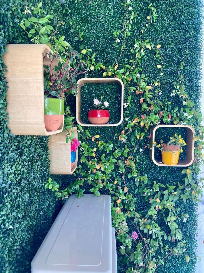 Cannes City B&B