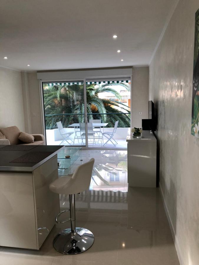 Apartment Oasis