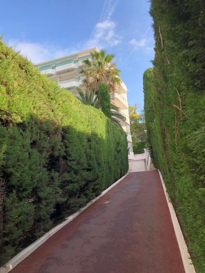 Oasis Cannes