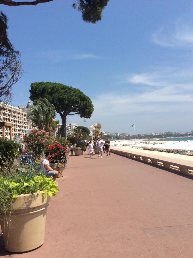 Lecerf Cannes