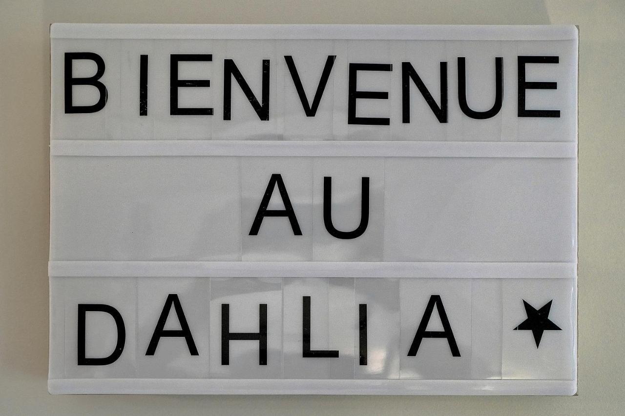 Appartement Dahlia - 200m Plage - 4min Palais - Verrière Côte D’azur *