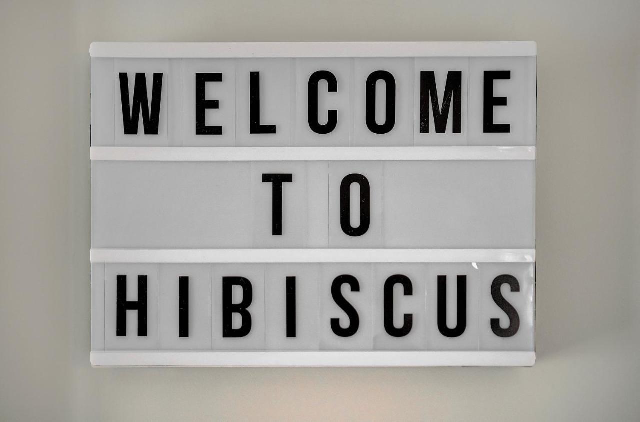 Apartment Hibiscus - 200mplage - 4minpalais - Verrière Côte D’azur *