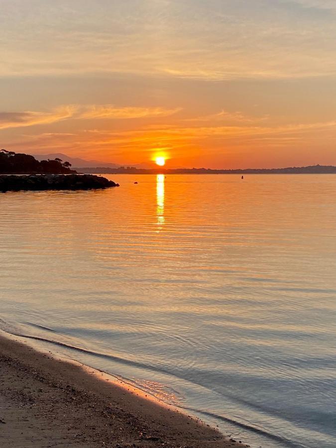Apartment Del Mar Bord De Palm Cannes
