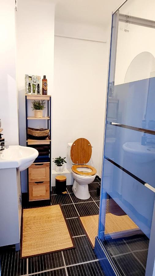 Appartement Studio En Plein Centre De Cannes