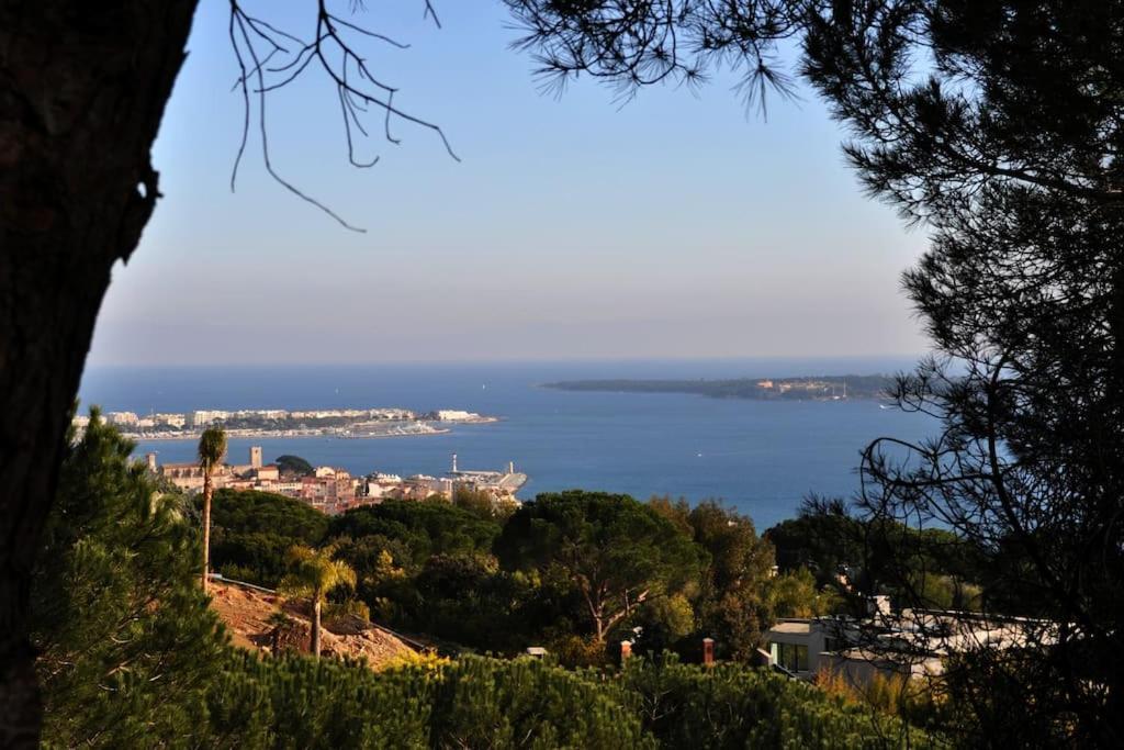 And Festival Palais Cannes