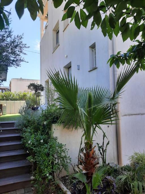 Apartment And Festival Palais Cannes