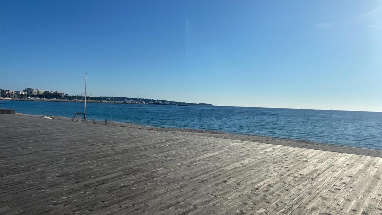 Apartment 2 Pieces Avec Terrasse Et Piscine Croisette Cannes