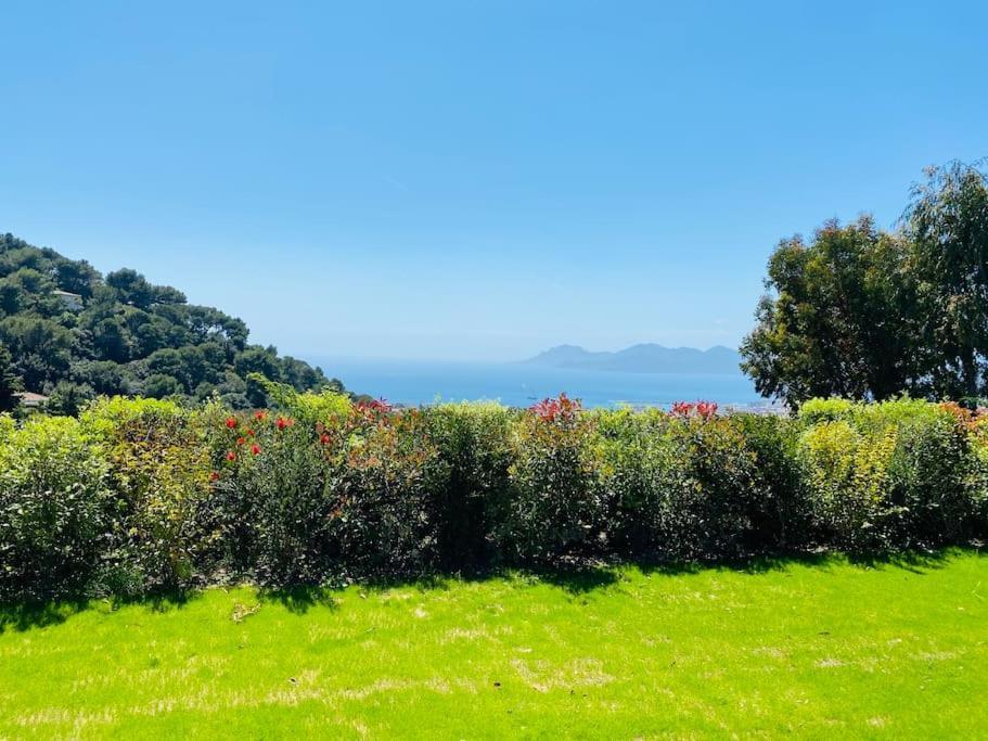 Luxury In With Swimming Pool & Sea View