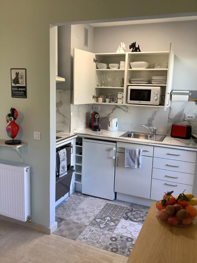 Mimosa Croisette Appartement Cannes