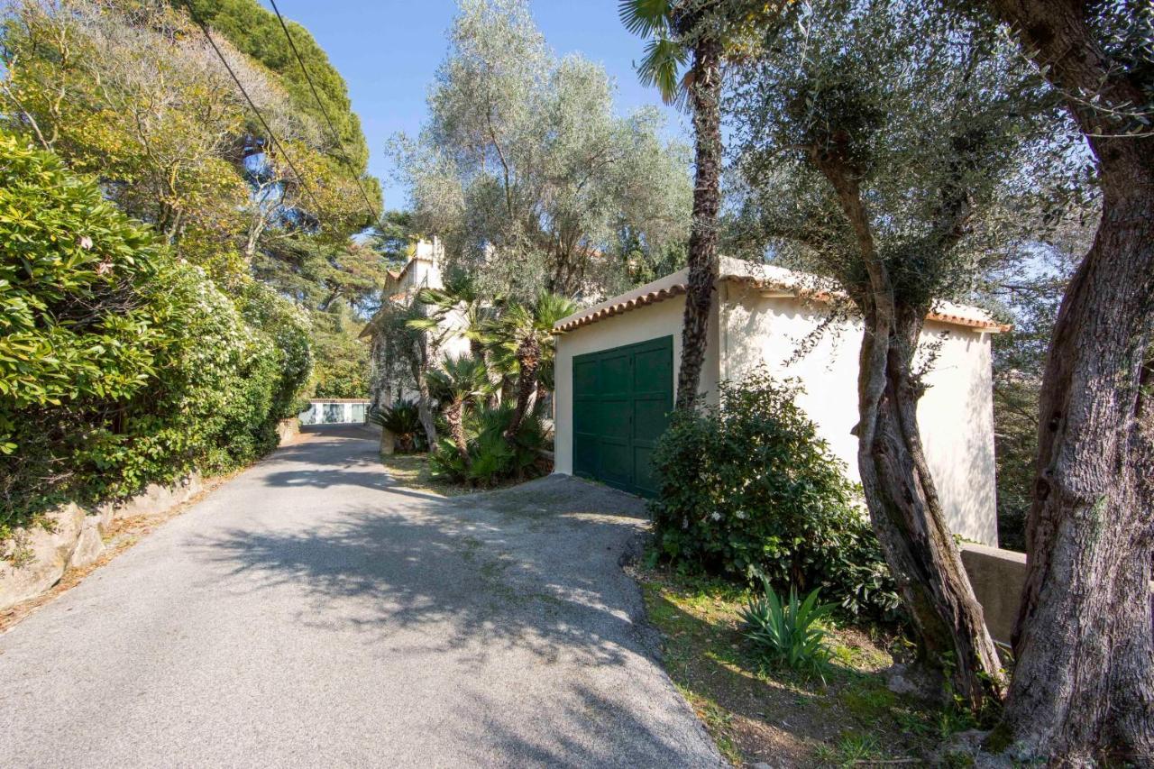Atypical Tiny House Of 40m2 Looking Over A Garden In The Center Of