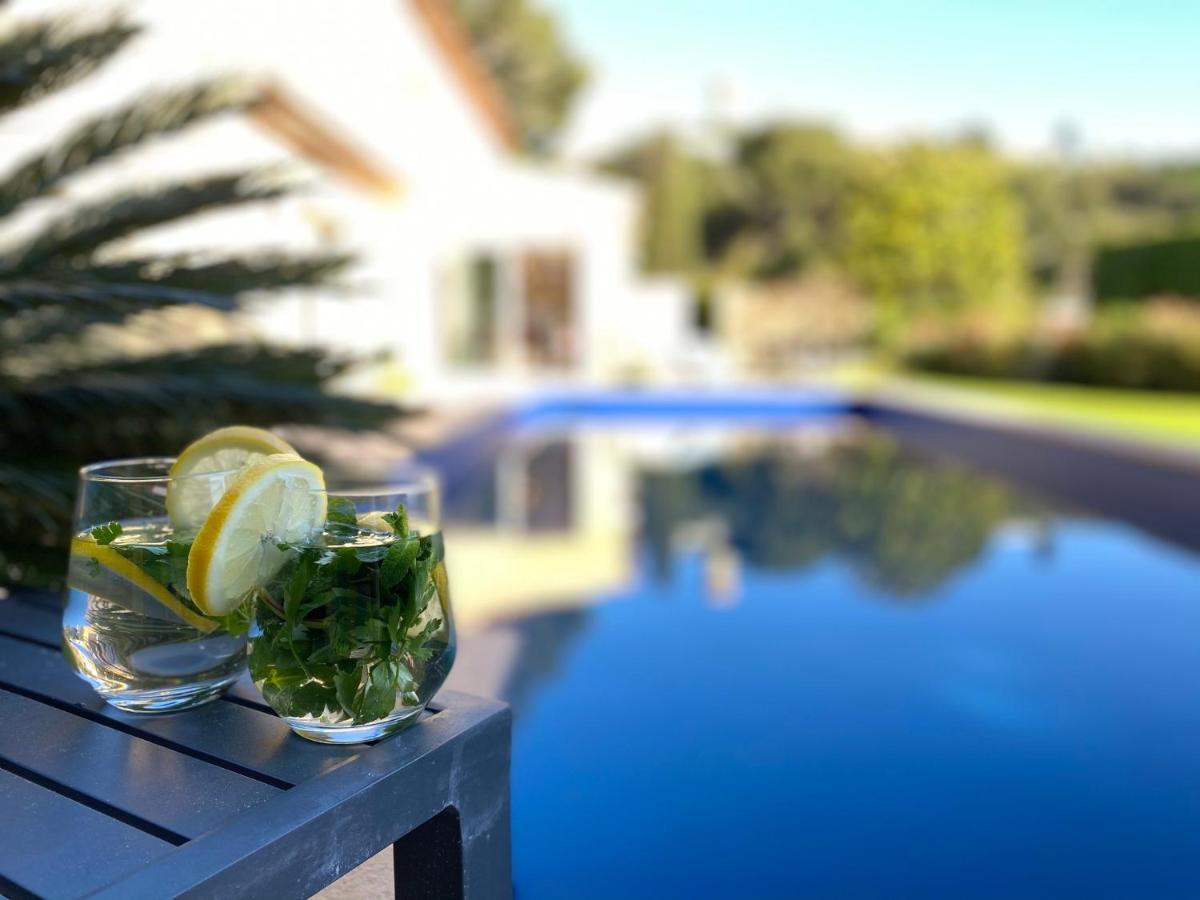 Luxury In With Swimming Pool & Sea View Villa Cannes