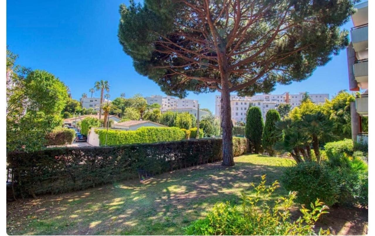 Superbe Lumineux Sur Avec Terrasse ! A Quelques Minutes De La Celebre Rue D'antibes ! *