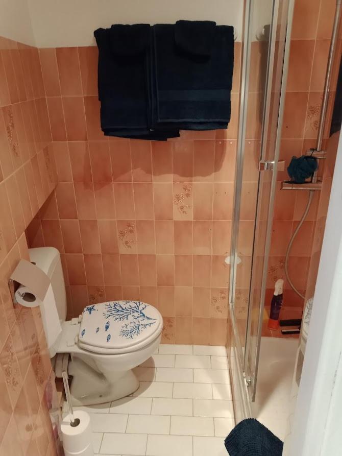 Appartement Proche Du Palais Des Festivals Et De La Plage-petits Prix Car Ménage Fait Par Le Voyageur *