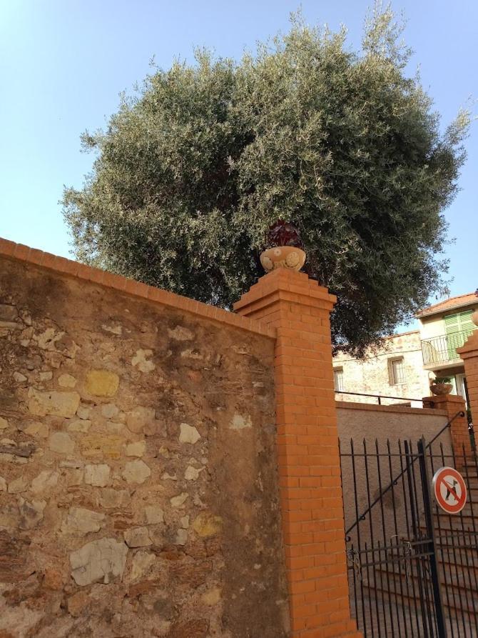 Cadre De Reve Vous Faites Le Menage- Very Good Prices But Have To Clea-n Th-e Flat Apartment Cannes