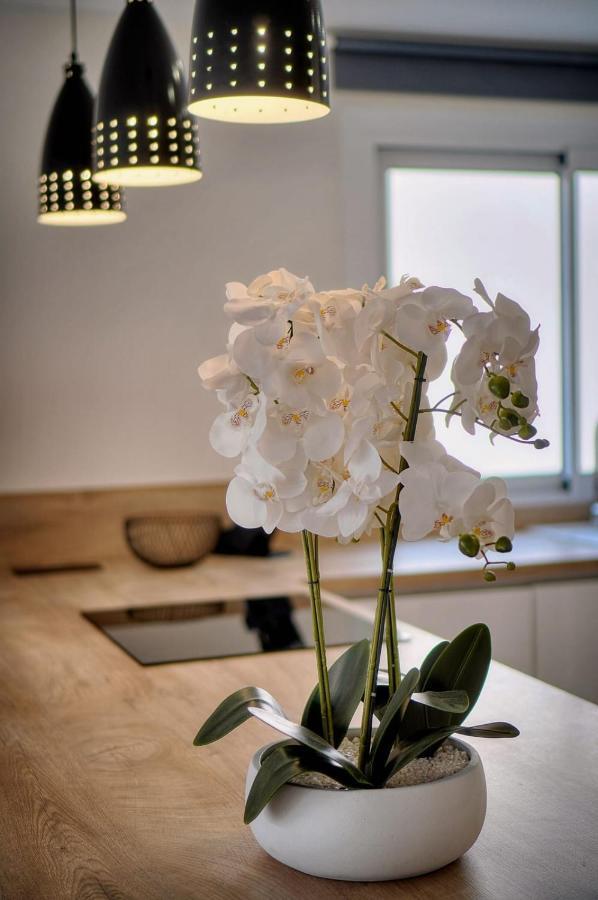Immogroom - Renovated - Terrace - Air Conditioning - Parking Californie *