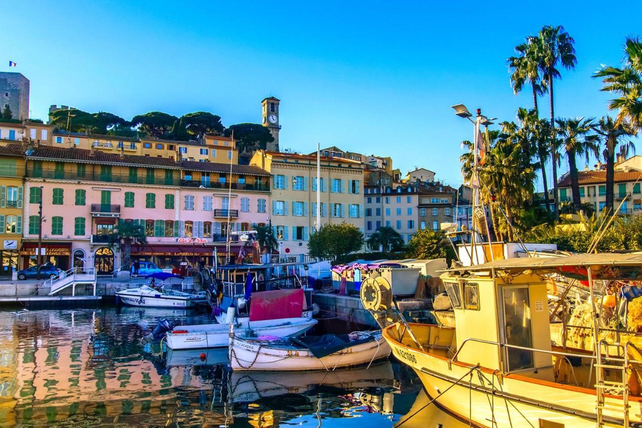 Appartement Ideal Congress And Vacation Live In