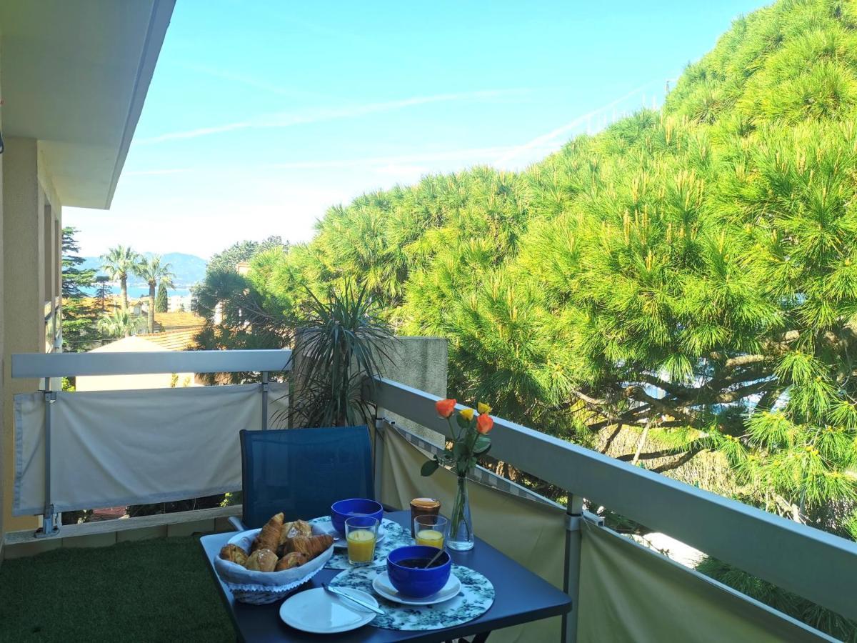Terrasse Vue Mer, Proche Croisette Et Suquet, Climatise, Parking Appartement Cannes