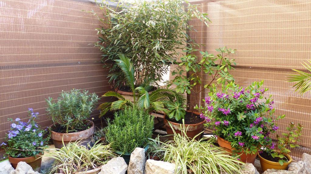 Apartamento Parisiens Cannes