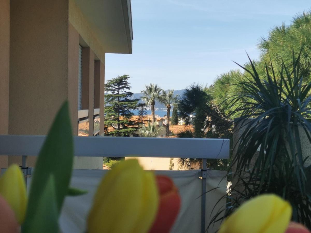 Terrasse Vue Mer, Proche Croisette Et Suquet, Climatise, Parking Cannes