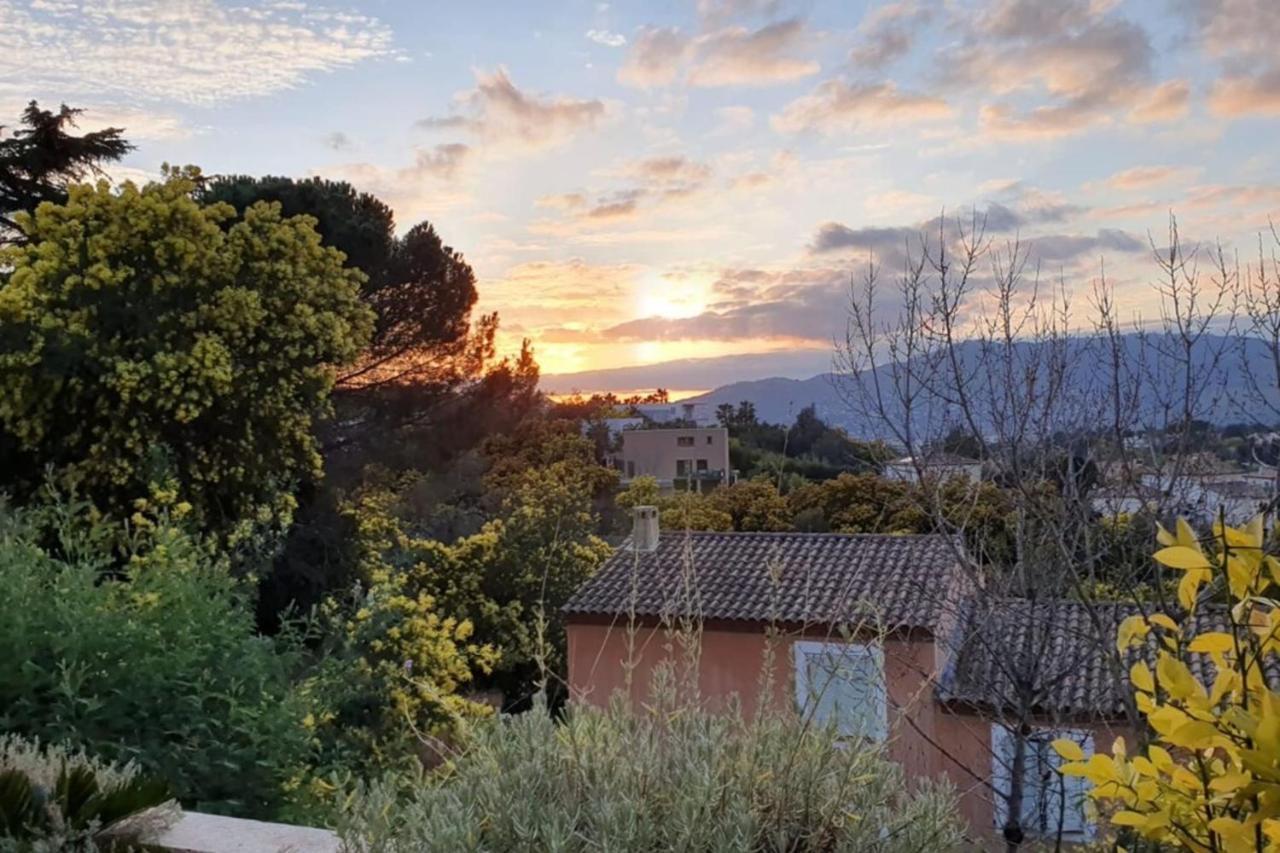 Appartement C061-quiet With Terrace & Pool - Cannes
