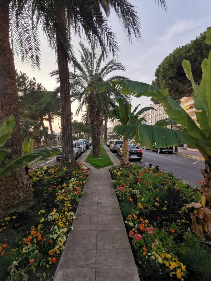 Le Chester 3 Pièces Proche Croisette Bord De Appartement Cannes