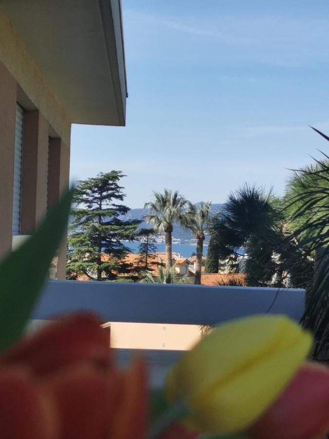 Terrasse Vue Mer, Proche Croisette Et Suquet, Climatise, Parking Appartement Cannes