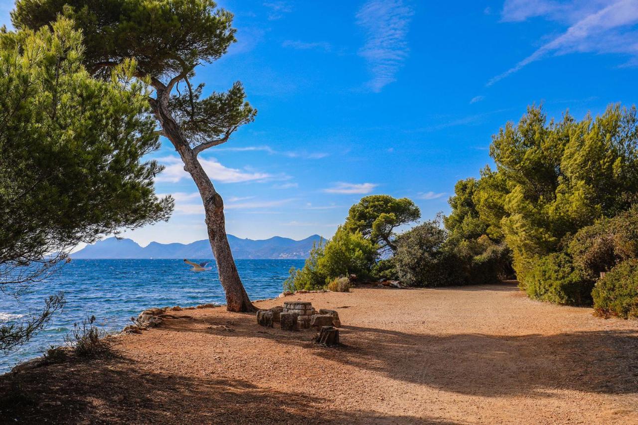 Ideal Congress And Vacation Live In Appartement Cannes
