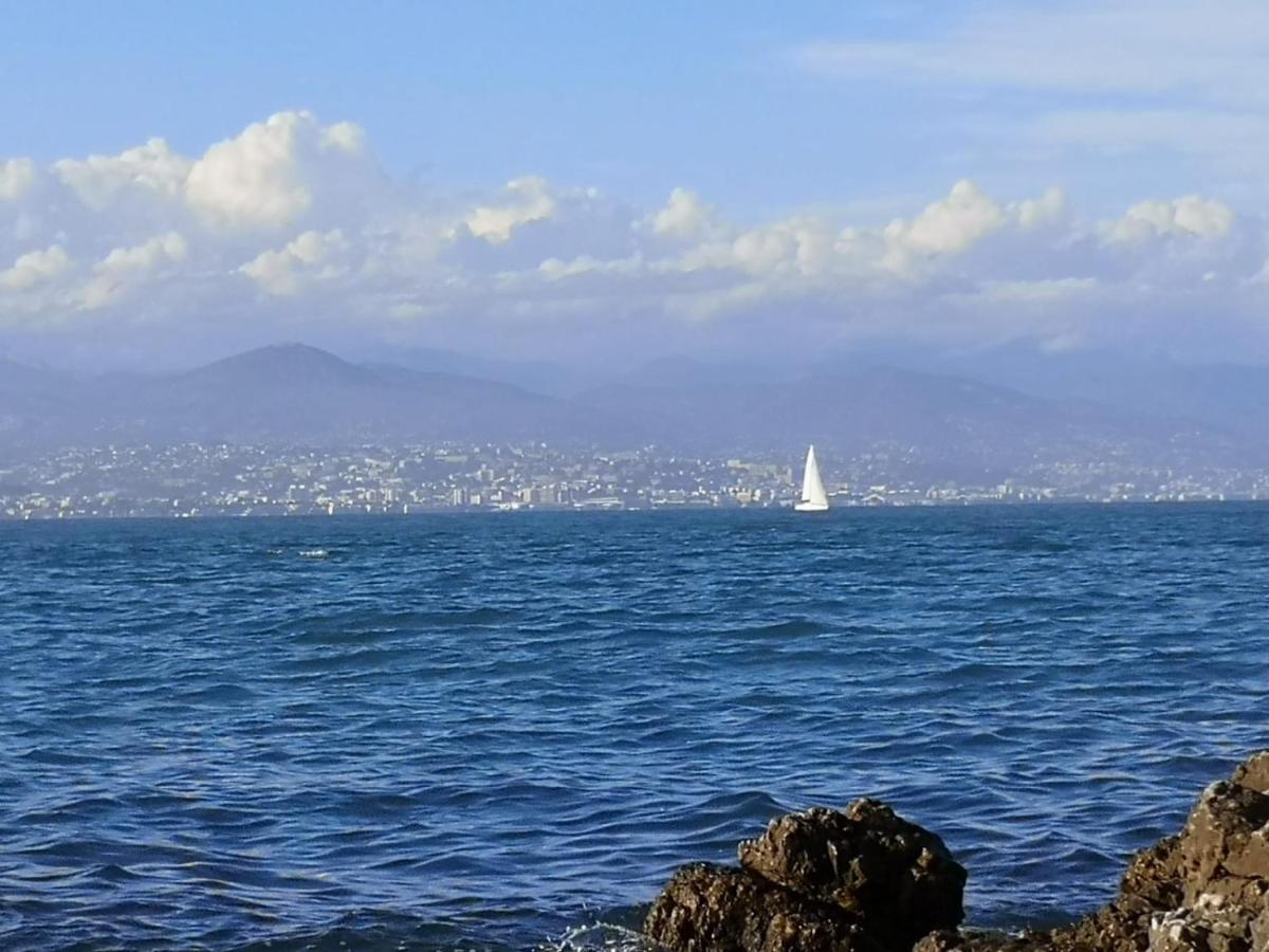 Appartement 5 Min To Sea And Palais Des Festivals Cannes