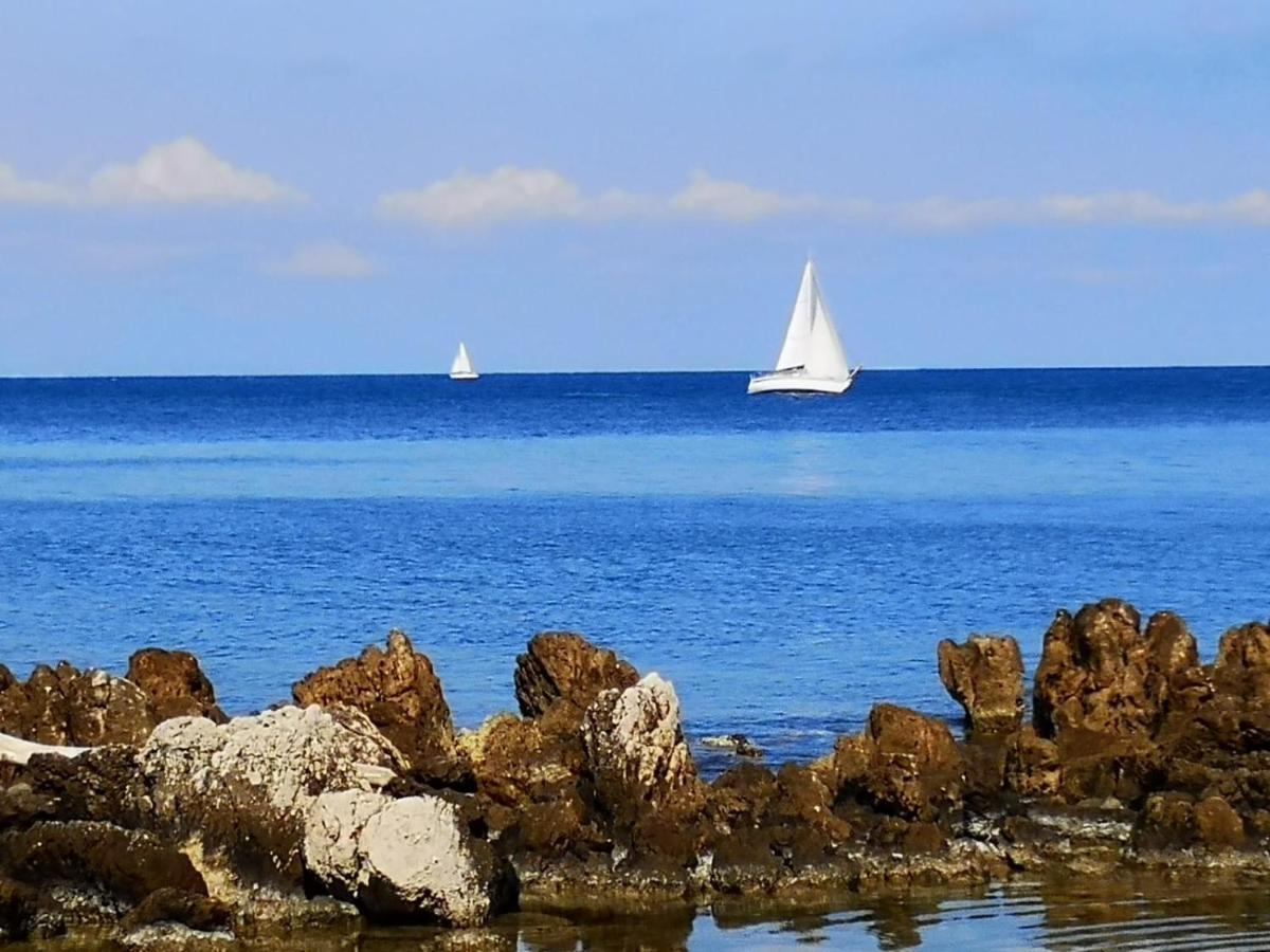5 Min To Sea And Palais Des Festivals Apartment *
