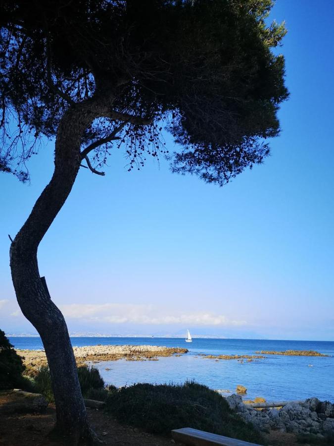 5 Min To Sea And Palais Des Festivals Apartment Cannes