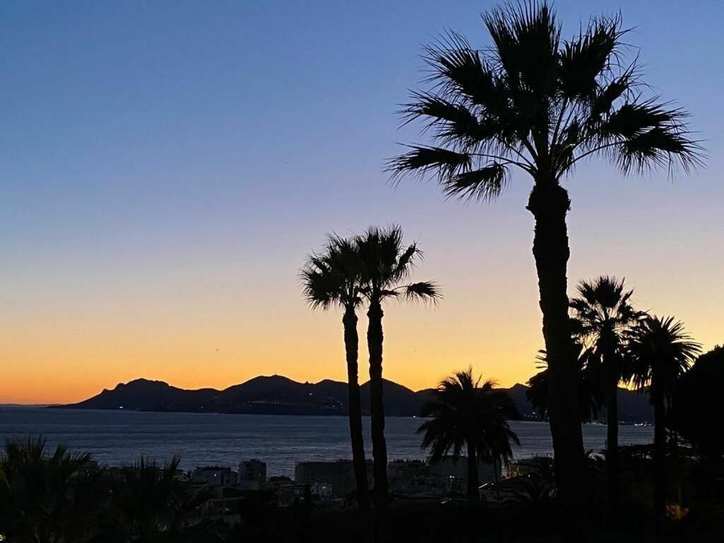 With Amazing Panoramic Sea View, Close To The Beach - Albert 1er *