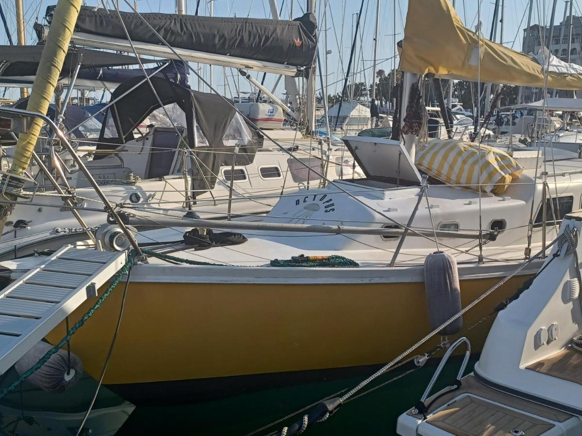 : Nuit Insolite Superbe Voilier A Quai Cannes