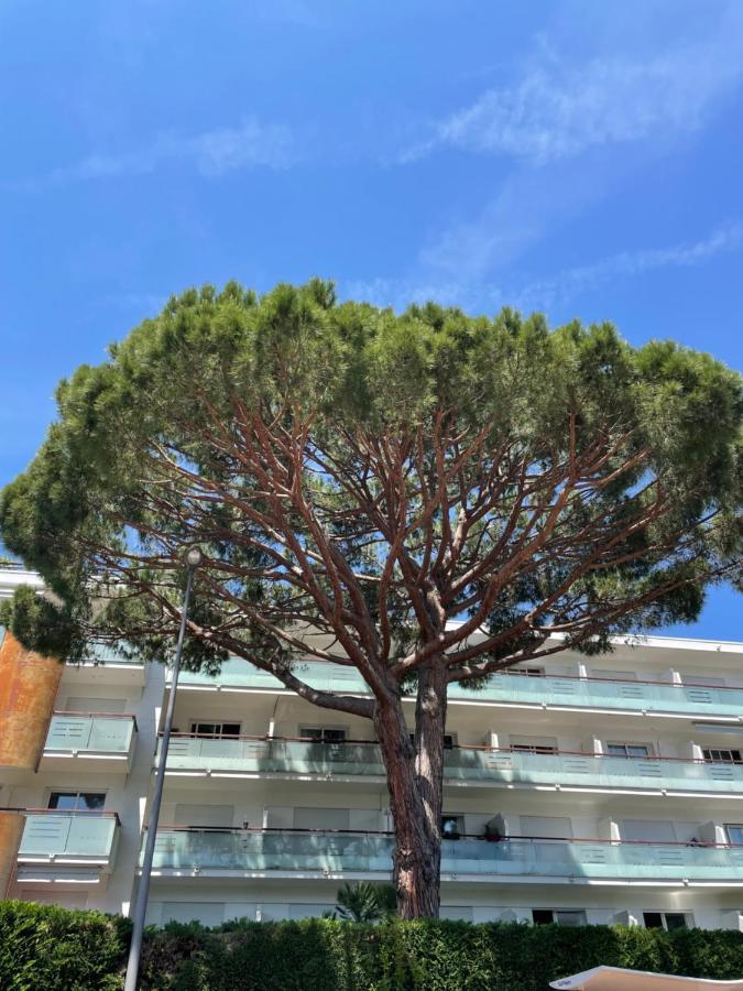 Superbe Lumineux Sur Avec Terrasse ! A Quelques Minutes De La Celebre Rue D'antibes ! *