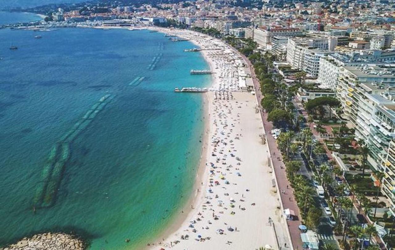 Ideal For Congresses Or Holidays Apartment Cannes