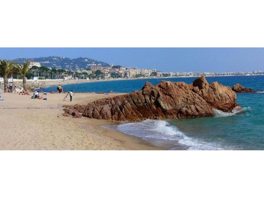 Apartment T2 Vue Degagee Colline, A Pieds, 4 Pax