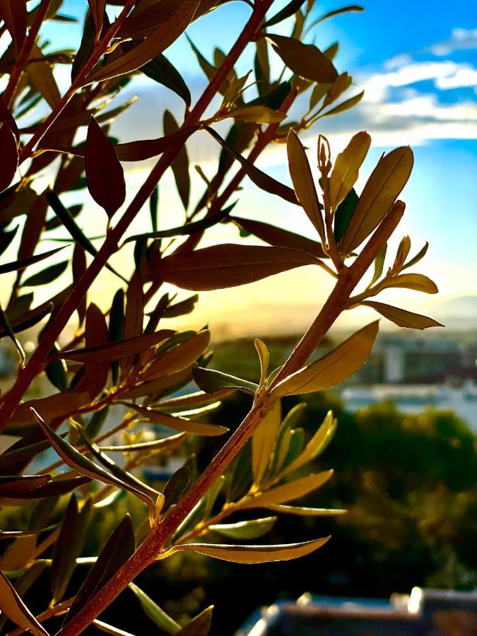 Apartment Rooftop - Quartier Croisette - Esc'appart *