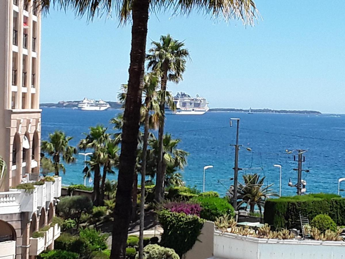 Palm D'azur