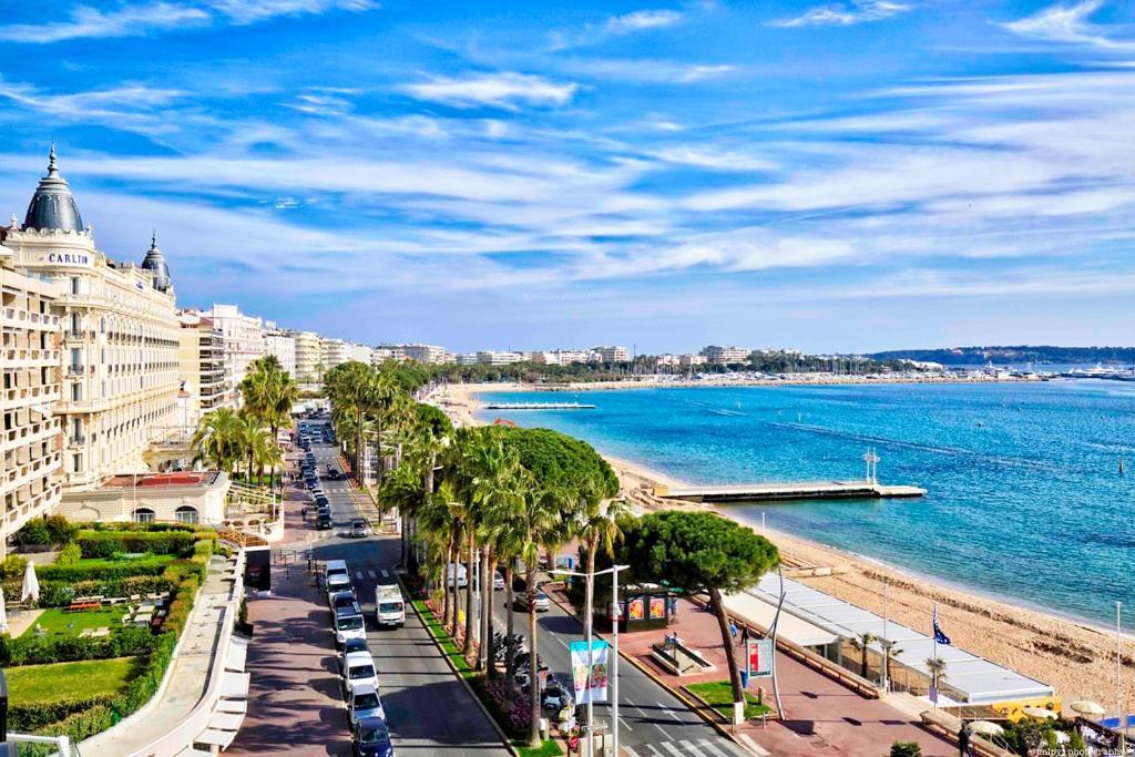 Misericorde - Palais - Hyper Centre - Croisette - Forville Apartment *