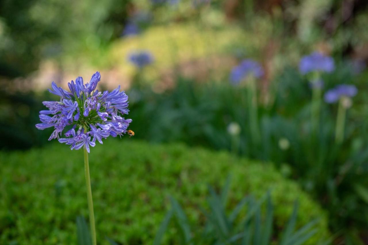 Alexandra Les Jardins D'arlias Luxury By Sweett *