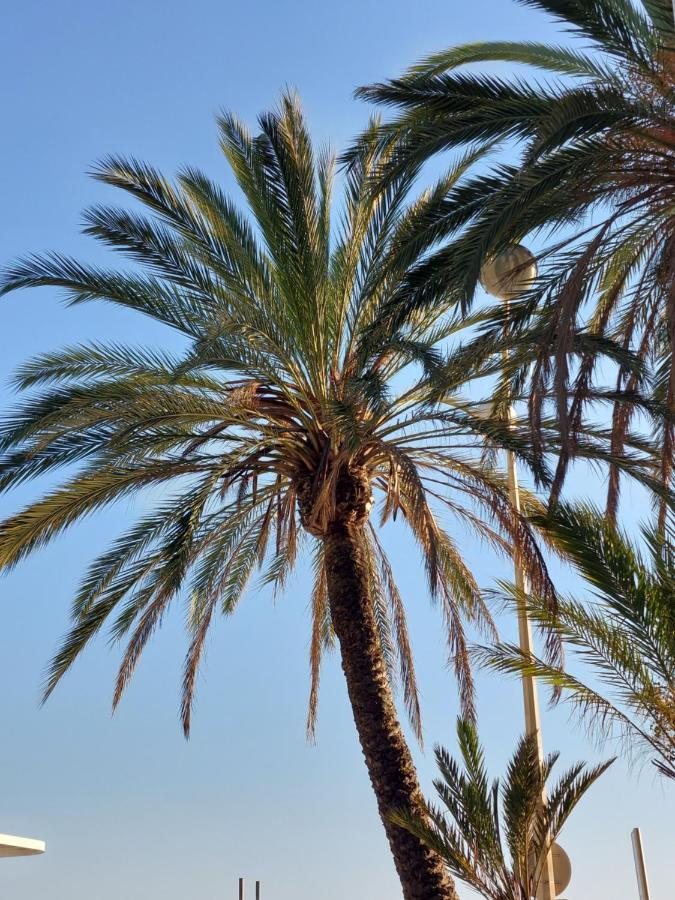 Centrum Seaview Le Clairfontaine Apartment Cannes