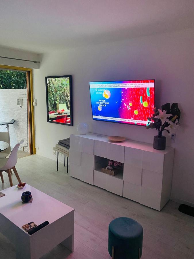 3 Pieces Terrasse, Jardin Appartement Cannes
