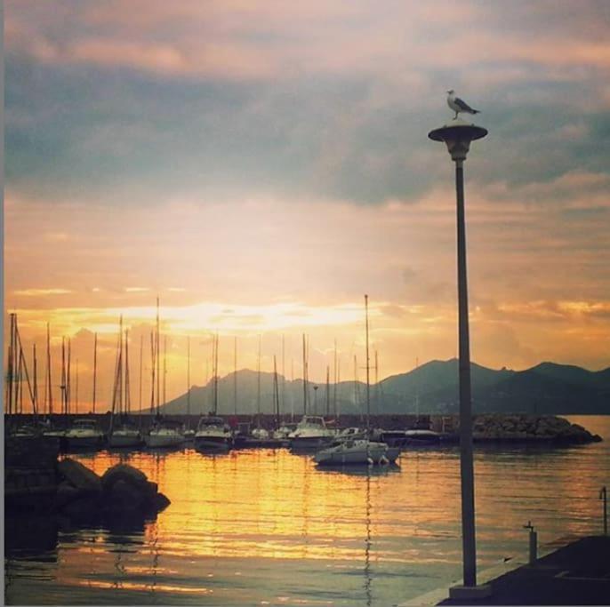 Bright - Cannes, La Croisette