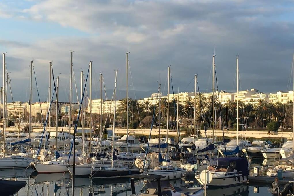 Appartement C065-chic And Modern Apt With Terrace - La Croisette