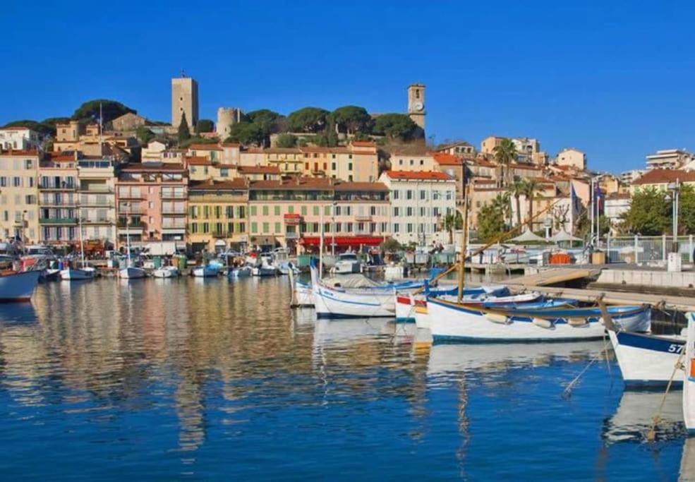 2 Pieces 2 Terrasses 100 M Croisette Tres Clair. Appartement