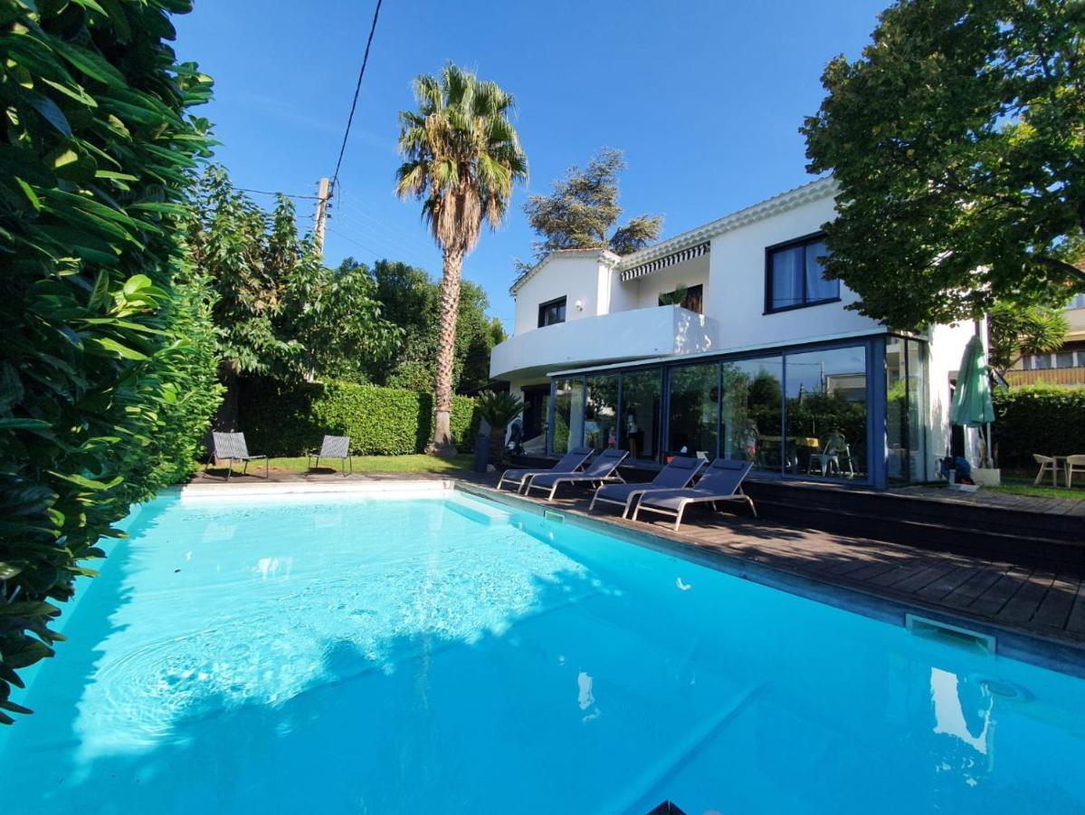 Bel Air Cannes: Renovated Beachfront Retreat With Pool