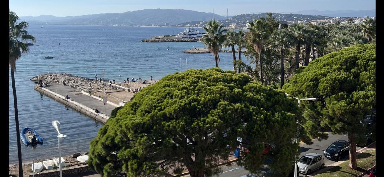 Palm Croisette Front De Mer1