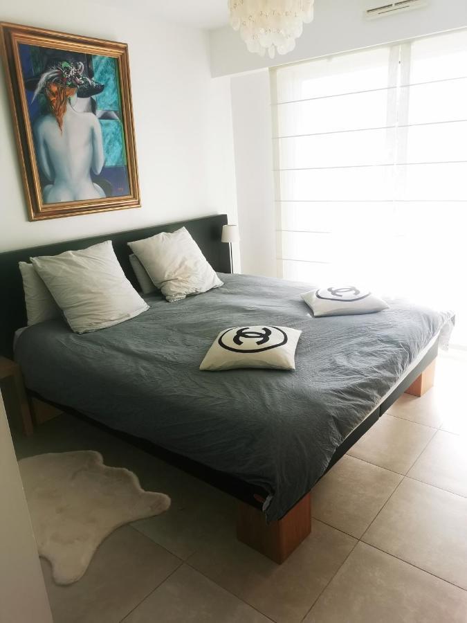 Modern One Bedroomed Just Off The Seafront With A Terrace And Pool Access 1753 * Cannes