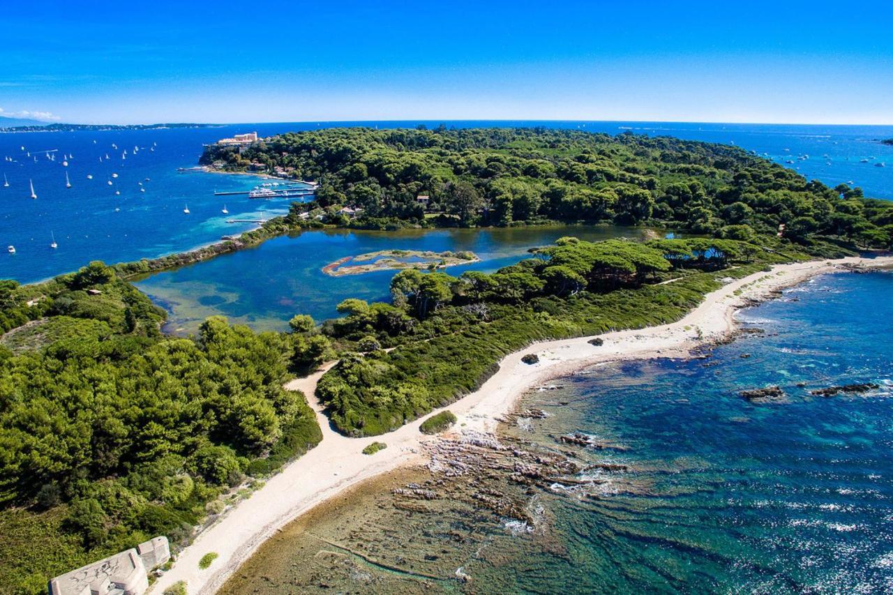 Paradise Center With Pool And Park Le Lys * Cannes